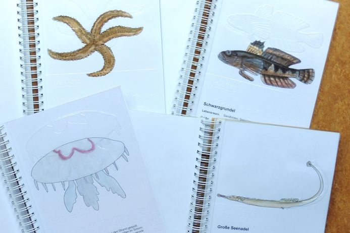 Geöffnete Bücher mit Abbildungen verschiedener Tierarten mit Texten in Großschrift und Brailleschrift. 