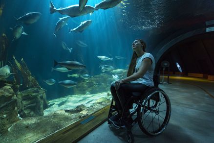 Eine Frau in einem Rollstuhl schaut in einem Tunnelaquarium die Bewohner des Aquariums an. 