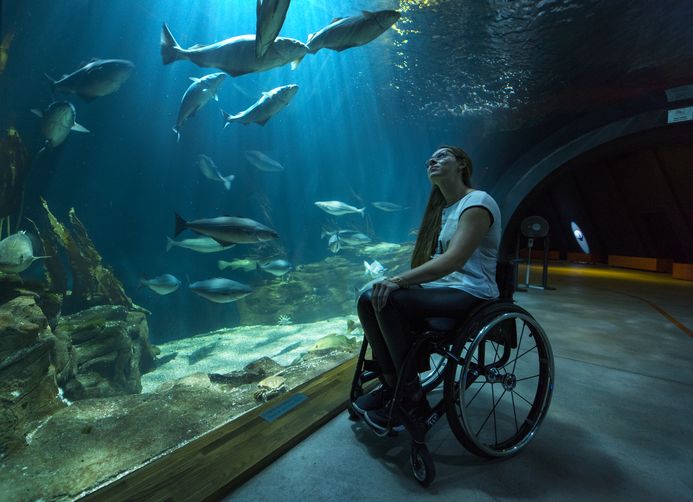 Eine Frau in einem Rollstuhl schaut in einem Tunnelaquarium die Bewohner des Aquariums an. 