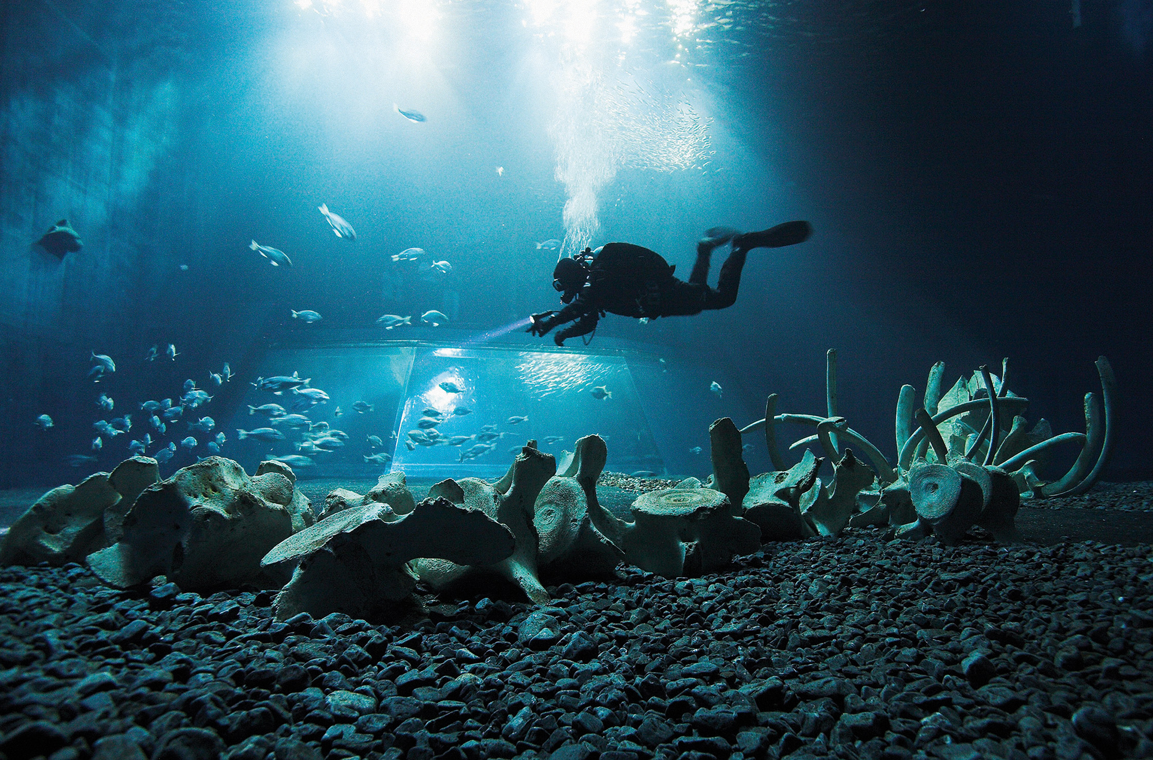 Глубокое погружение. Global Underwater Explorers. Underwater Gravity. Grave under Water. Gravity Underwater Tank