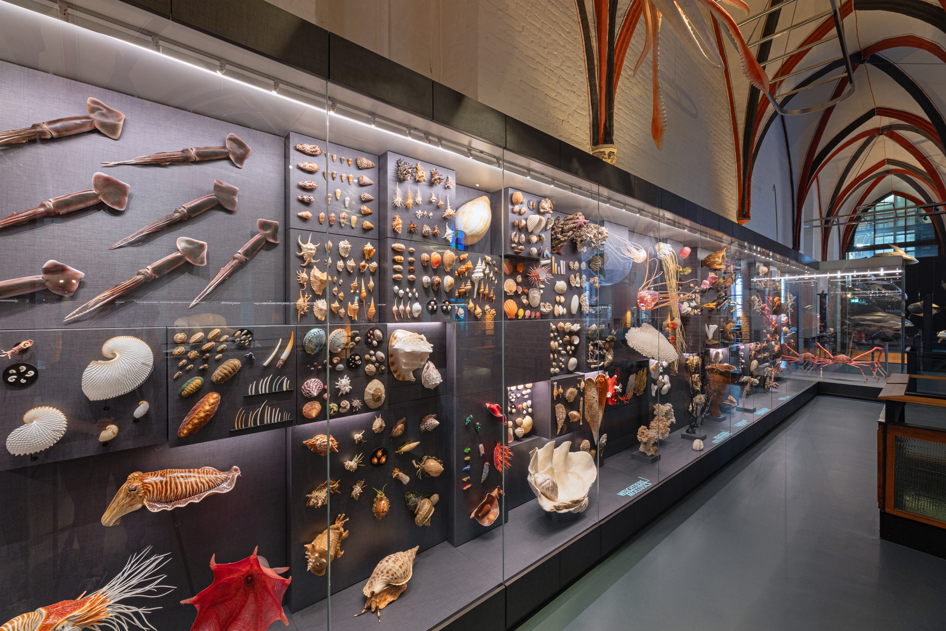 meeresmuseum