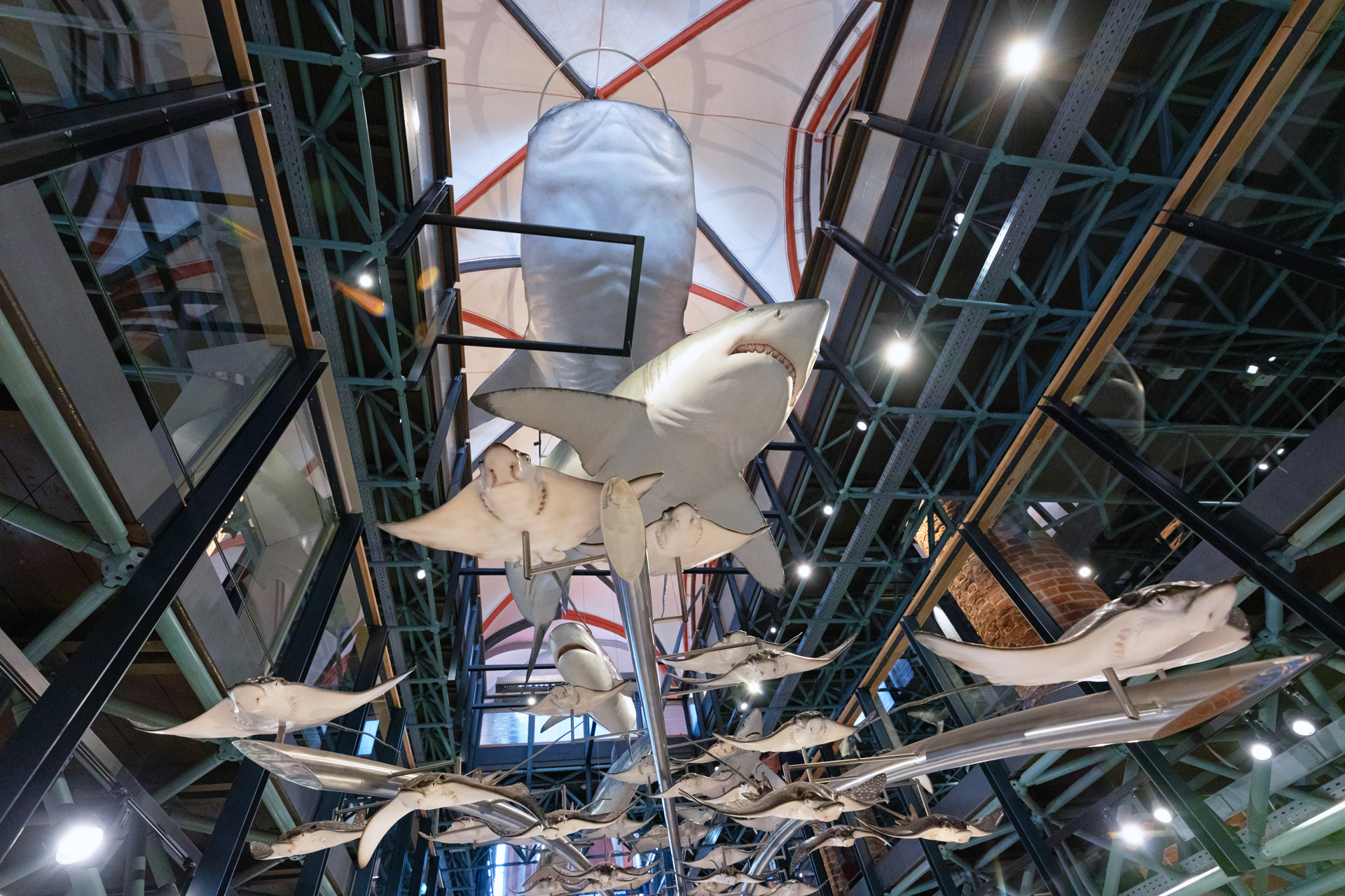 press-photos-meeresmuseum