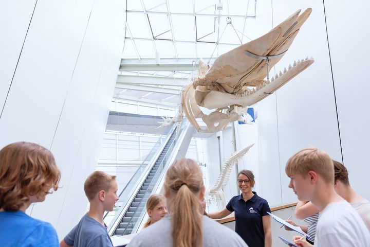 Schulkinder mit Lehrerin vor einem hängenden Walskelett, im Hintergrund eine lange Rolltreppe