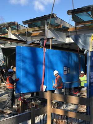 Eine in blaue Folie eingepackte, große Aquarienscheibe wird in ein Gebäude manövriert.
