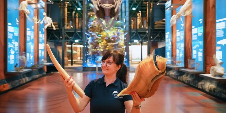Eine Frau hält Wal-Barten in den Händen, im Hintergrund sind Ausstellungen mit Meer-Bezug zu sehen