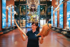 Eine Frau hält Wal-Barten in den Händen, im Hintergrund sind Ausstellungen mit Meer-Bezug zu sehen