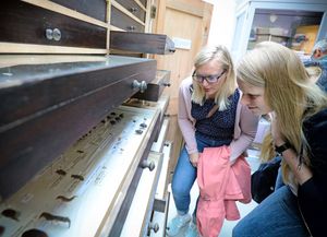 Besucherinnen beim Betrachten der Insektensammlung