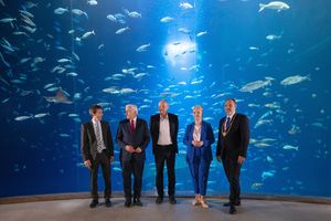 Personen vor einem raumhohen Aquarium