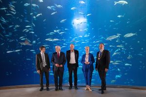 Personen vor einem raumhohen Aquarium