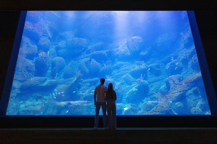 Zwei Personen stehen vor einem raumhohen Aquarium