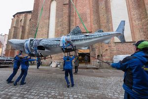Das über 400 kg Gewicht wurde auf dem Hof des Museums vom Transporter gehoben. (Foto: Anke Neumeister/Deutsches Meeresmuseum)