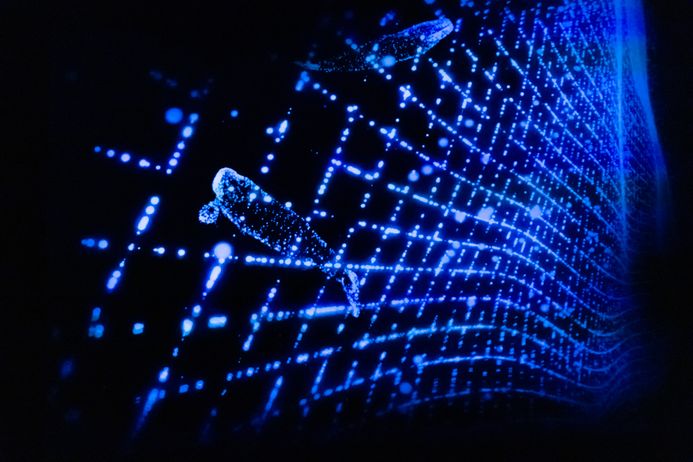 Blaue Visualisierungen von Meerestieren hinter Netzen