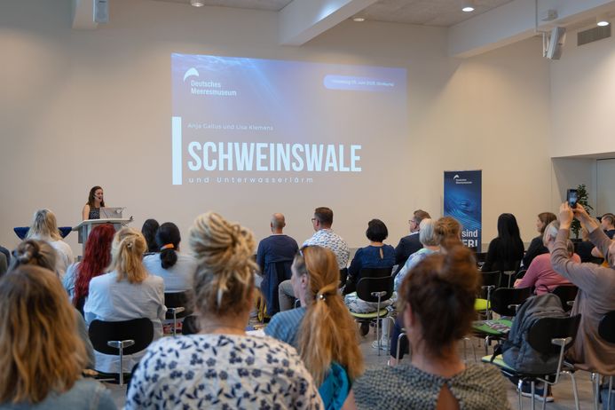Tagungssituation: Menschen sitzen im Publikum und schauen auf eine projizierte Präsentation an einer Wand