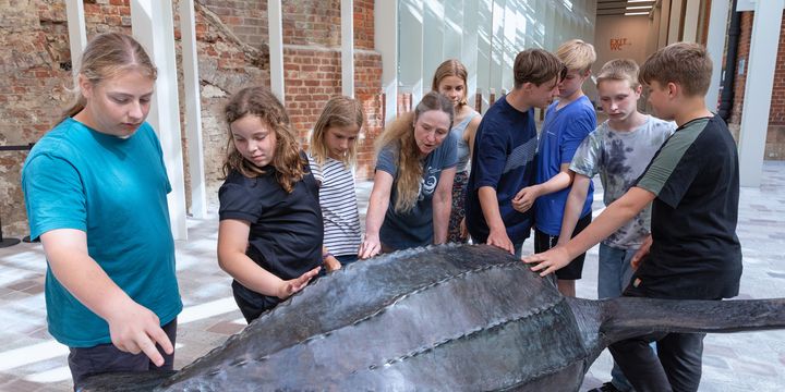 Eine Gruppe von Kindern steht um eine bronzene Schildkröte