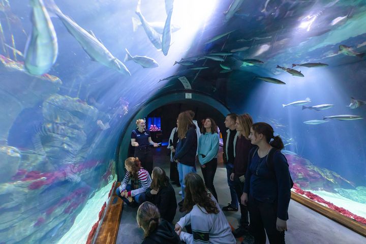 Gruppe Jugendlicher mit Guide in einem Tunnelaquarium im OZEANEUM