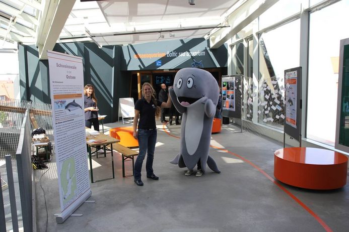 Environmental education campaigns, such as this one on International Baltic Porpoise Day at the OZEANEUM, are an important task for the staff of the German Oceanographic Museum (Photo: OZEANEUM Stralsund)