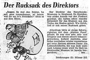 Zeitungskarikatur