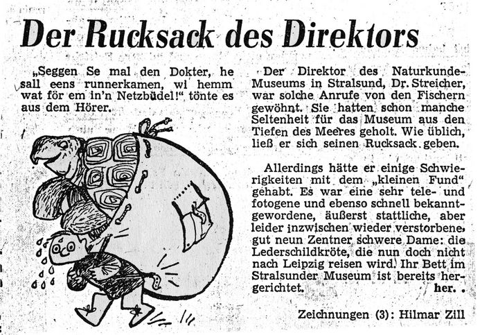 Zeitungskarikatur