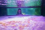 junges Mädchen schaut durch eine schmale horizontale Panoramascheibe auf Röhrenaale im Sand eines Aquariums