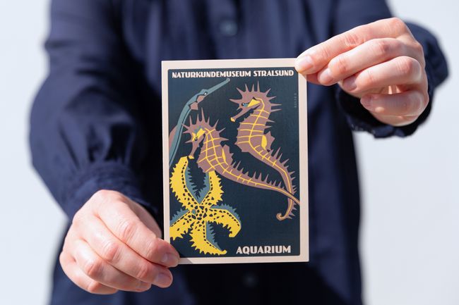 Person hält Postkarte mit Meeresmotiven in den Händen