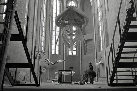 Schwarz-Weiß-Aufnahme eines hängenden Walskeletts in einer Kirchenhalle