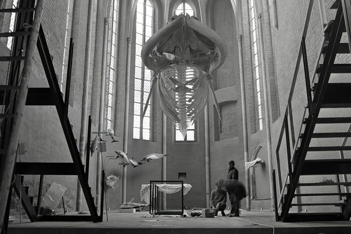 Schwarz-Weiß-Aufnahme eines hängenden Walskeletts in einer Kirchenhalle