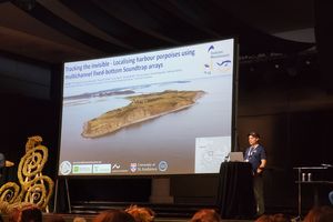 Auf einer Konferenzbühne hält eine Person einen wissenschaftlichen Vortrag neben einer großen Projektionsfläche. Auf der Leinwand ist eine Präsentationsfolie zum Tracking von Schweinswalen mit Luftbild einer Küstenlandschaft sowie Logos beteiligter Forschungseinrichtungen zu sehen. Im Vordergrund sitzt das Publikum.