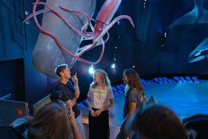 Ebenfalls Bestandteil des Rundganges: die Ausstellung 1:1 Riesen der Meere, die in Zusammenarbeit mit Greenpeace realisiert wurde. 