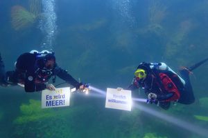 Zwei Taucher in einem Großaquarium halten Schilder in den Händen