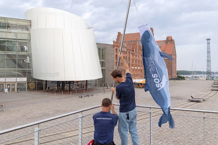Der ehemalige Formel1-Weltmeister Sebastian Vettel installierte vor dem OZEANEUM eine Windhose, die für den Schutz von Schweinswalen wirbt.