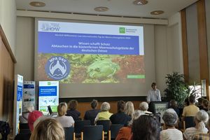 Publikum vor einer Leinwand während einer Präsentation zum MPA-Day