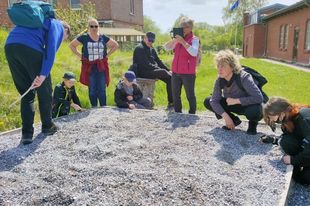 Auf dem Außengelände des Kreidemuseums ist eine Kiste gefüllt mit Kreide. Am Rand der Kiste stehen Kinder und Erwachsene und suchen interessiert nach Fossilien.