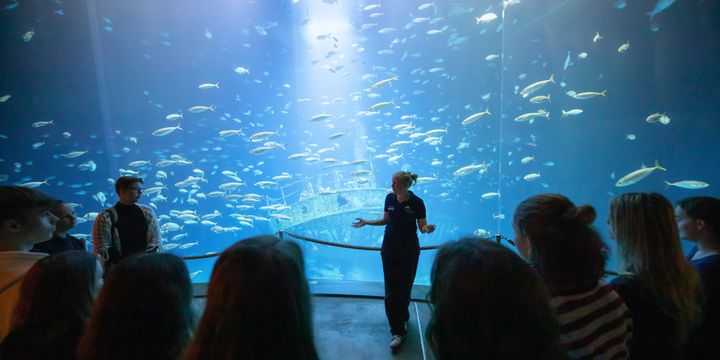 Personen stehen vor einem riesigen Aquarium