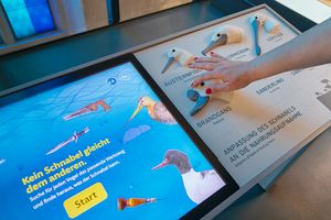 Eine Hand ertastet neben einem Touchscreen Formen verschiedener Vogelköpfe