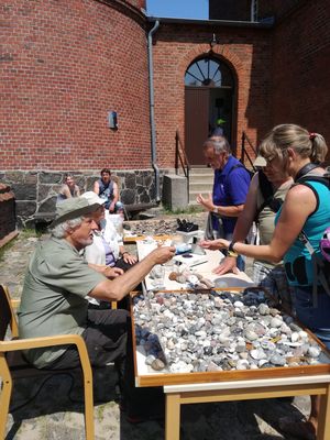 Strandsteinbestimmung im NATUREUM