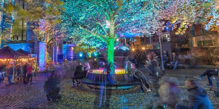 Bunt beleuchteter Baum am Abend