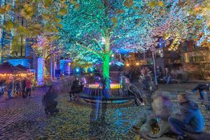 Bunt beleuchteter Baum am Abend