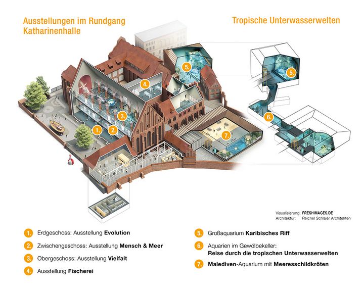 PDF-Datei mit einem Gebäudeschnitt des MEERESMUSEUMs (nicht barrierefrei)