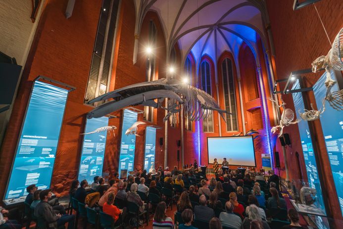 Finnwalskelett hängt im atmosphärisch beleuchtetem Kirchengebäude