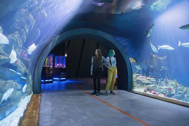Zwei Museumsgäste in einem Tunnelaquarium.