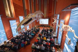 Gäste sitzen in einem Kirchengebäude unter einem hängenden Walskelett