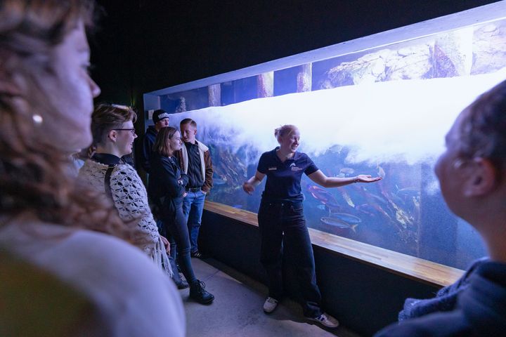 Person mit Gruppe vor Aquarium