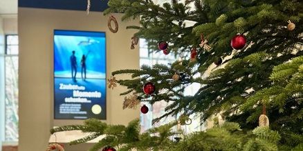 Geschmückter Weihnachtsbaum 