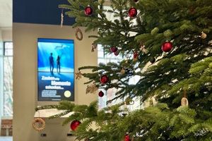 Geschmückter Weihnachtsbaum 