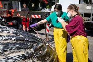 Zwei Personen in Schutzanzügen und mit Masken vermessen einen Teil des toten Buckelwals