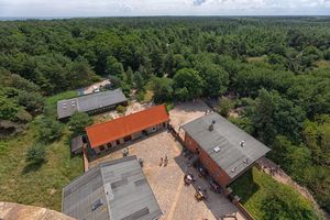 Widok z lotu ptaka na domy w środku lasu