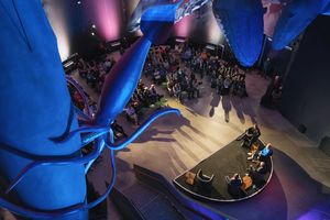 Blick auf eine Podiumsdiskussion in der Ausstellung 1:1 Riesen der Meere im OZEANEUM Stralsund