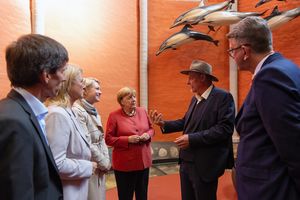 Eine Gruppe in einem orangefarbenen Raum, darüber hängend eine Installation aus Delfinmodellen