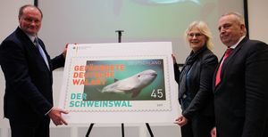 Präsentation der Schweinswal-Briefmarke