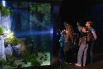 Kinder stehen vor einem deckenhohen Aquarium. Mit Taschenlampen leuchten sie in das Becken.
